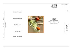 Vario-Fruehlings-Elfchen-14.pdf